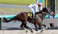チャンピオンズＣは老獪な騎手が導く伏兵が不気味。本命馬に真っ向勝負を挑む有力馬を尻目に漁夫の利を得るか