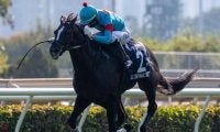 【香港ヴァーズ出走見込馬】ブルームは武豊騎手が騎乗予定 香港ジョッキークラブが発表
