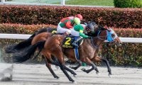【チャンピオンズC予想】勝利パターンなら馬番2から11番重視？ 前走中央使いの馬は勝利の前例なし？