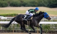 【豊川特別】武豊 ファーンヒルが4馬身差圧勝