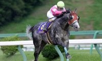 【カペラS想定騎手】リュウノユキナは柴田善臣騎手、オメガレインボーは岩田康誠騎手