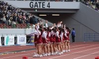 チアリーダーズがラグビー早明戦に登場！　４年生最後のハーフタイム演技に