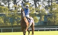 【香港国際競走】日本馬14頭の香港馬名を紹介！ 日照飛駿・速度大師はどの馬？