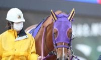 JpnI/GI馬3頭など12頭の重賞ウイナーが集結！ 今夜20時10分発走/大井・勝島王冠注目馬