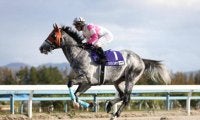 【カペラS出走馬・騎手確定】リュウノユキナ＆柴田善臣騎手、オメガレインボー＆岩田康誠騎手など16頭
