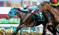 クイーンS連覇など重賞3勝馬が引退 今後は北海道で繁殖馬に
