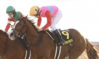 【名古屋グランプリ】菅原明「凄くうれしく思う」ペイシャエスが重賞2勝目