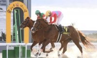 【名古屋グランプリ】3歳馬 ペイシャエスがゴール寸前で差し切りV