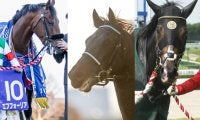 【有馬記念想定】前年覇者エフフォーリア、ジャパンC覇者ヴェラアズール、同一年グランプリ制覇狙うタイトルホルダーなど18頭 