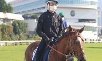【香港マイル】サリオスが出走取消 引退レースに出走叶わず