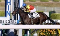 【新馬/阪神6R】マクフィ産駒 トーシンカーリンがデビューV