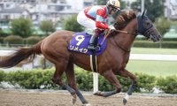 【カペラS予想】1番人気馬が過去10年で1勝 今年も波乱となるか