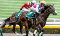 2歳マイル王決定戦の朝日杯FS/今週の競馬界の見どころ