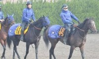 近親にロジユニヴァースやソングライン ホウオウカブキが戸崎圭太騎手でデビュー/関東馬メイクデビュー情報