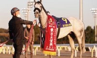 東京大賞典4連覇の王者、ダート重賞5勝馬、リアルスティールの姪などがJRA登録を抹消