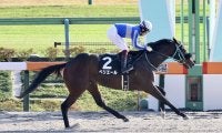 【全日本2歳優駿】ペリエールは8枠13番
