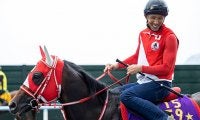 日本馬初の偉業へ 今年の天皇賞(秋)2着馬はドバイターフを大目標に