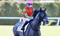 【新馬/阪神5R】ゴールドシップ産駒 マイネルラウレアが直線一気で差しきる