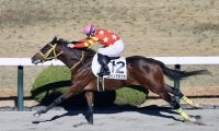 【新馬/阪神6R】ユイノマチブセが7馬身差圧勝