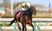 金鯱賞など重賞2勝のギベオンが競走馬登録を抹消 社台ファームで乗馬に
