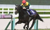 歴代最多の36万8304票馬、宝塚記念に続いてグランプリ連覇なるか