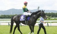 古馬戦線を締めくくる有馬記念、障害王者オジュウチョウサンのラストラン/今週の競馬界の見どころ