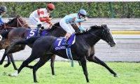 【有馬記念登録馬】イクイノックスなど16頭