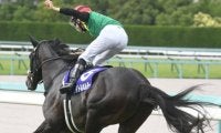 【有馬記念見どころ】ファン投票1位タイトルホルダーの春秋グランプリ連覇なるか