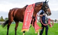 府中牝馬Sでは白毛の女王に勝利 暮れの大一番でも波乱を起こせるか