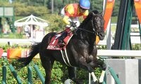 【AI予想・有馬記念】波乱の使者は3歳馬!? カギとなるのは世代レベルか
