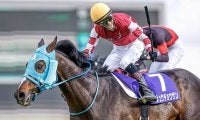 【中山大障害想定騎手】障害GI・10勝目を狙うオジュウチョウサンは石神深一騎手、今年の東京HJ覇者ゼノヴァースは森一馬騎手