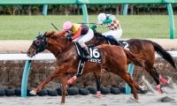 【浦和・ゴールドC枠順】1着賞金3100万円誇る年の瀬のビッグレース 地方転入2戦目を迎えるアポロビビは7枠7番
