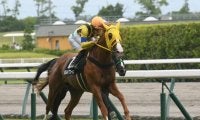 【有馬記念展望】GI馬が多数参戦も、重賞未勝利馬の初戴冠に期待したい