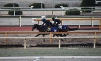 ジェラルディーナ、有馬記念最終追い切り速報/栗東トレセンニュース