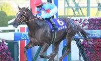 2019年朝日杯FS覇者サリオスが競走馬登録を抹消 今後は社台SSで種牡馬に