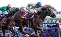 【有馬記念予想】今年のサイン馬券は『ワールドカップ』『村神様』『戦』などが人気…netkeibaユーザーに聞いたアンケート中間発表！