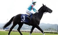 香港ヴァーズ2勝のグローリーヴェイズが競走馬登録を抹消 ブリーダーズSSで種牡馬に