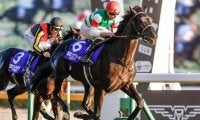 【有馬記念予想】穴馬候補も勝ち負け可能！ ビッグレース制覇も妙味ある一頭
