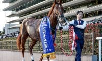 【有馬記念】16頭の香港馬名・馬名意味を紹介！ 『破空極光』『強大必勝』はどの馬？
