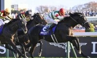 タイトルホルダーが単騎で逃げる有馬記念。意外とレースは緩みなく流れ、後方からまくってくる伏兵に出番あり