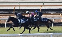 モントライゼの半弟スカーズが初陣迎える/関西馬メイクデビュー情報