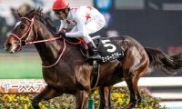 【ホープフルS前日オッズ】ミッキーカプチーノが3.7倍で1番人気