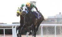【笠松・東海ゴールドC結果】ウインユニファイドが節目の通算10勝目