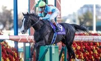 有馬Vのイクイノックスは5番人気！ 英ブックメーカーが早くも凱旋門賞のオッズを発表 