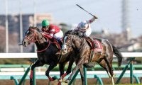【今日の注目ポイント】2023年の中央競馬が開幕 中山と中京で東西金杯