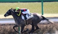【日曜中山7R】待ちに待った圧勝舞台 バーリンギャップが本領発揮だ！