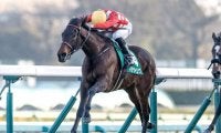 時計の掛かる馬場なら今後も期待できるキタウイング