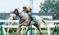 白毛の7歳馬 6年連続勝利＆5年連続オープン勝ちなるか