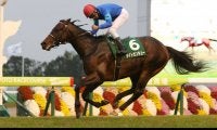 ライトオンキューが競走馬登録抹消