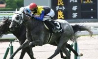 【今日の注目ポイント】中京で牝馬のハンデ重賞・愛知杯